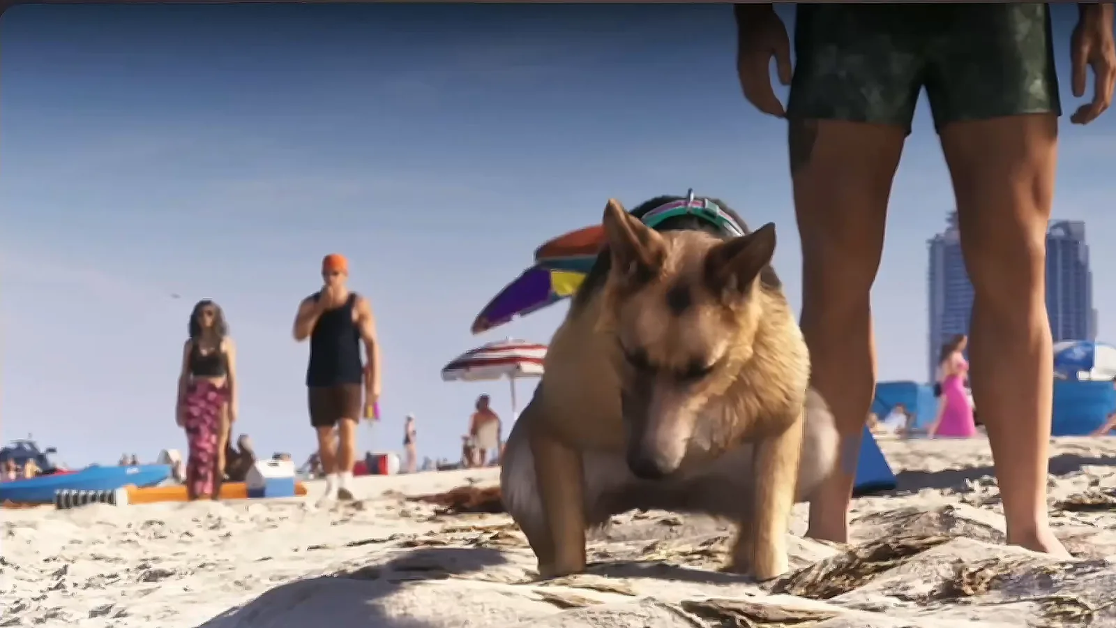 GTA 6 South Park clip: a dog on a Vice City beach while Jason walks toward it